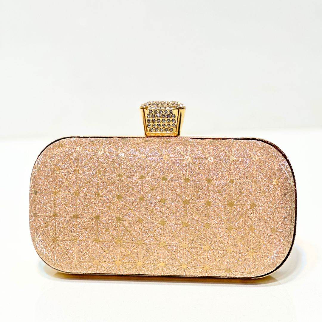 Sparkle Shimmer Clutch - Bagsero